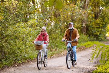 Beautiful elderly couple on bike ride in the forest. Seniors in love cycling through autumn nature,...
