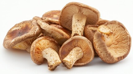 Fototapeta premium Fresh and Organic Shiitake Mushrooms Displayed Beautifully on a White Background, Perfect for Culinary, Nutritional, or Health-related Projects and Publications