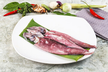 Fresh raw aquid in the plate