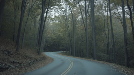 Fototapeta premium Quiet Forest Path Lined with Trees and Autumn Leaves