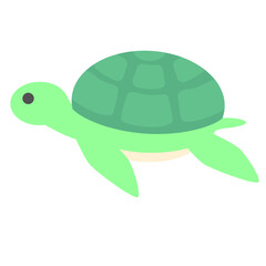 Sea Turtle