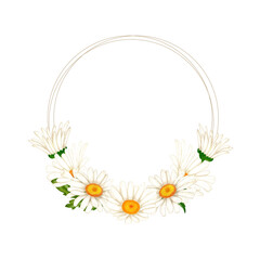 Wreath of watercolor white flowers and leaves. Chamomiles for decorating cards