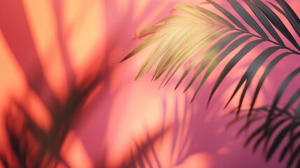 Tropical palm leaf silhouettes casting shadows against a warm, vibrant background, capturing a minimalist summer aesthetic with space for text.
