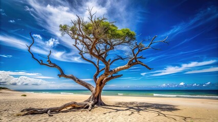 Azure sky, stark blue dry beach tree, minimalist summer.
