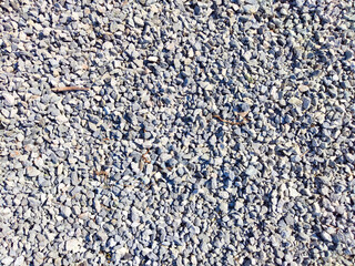 The ground is covered with a mix of small stones and gravel, showcasing various colors and textures under the sunlight