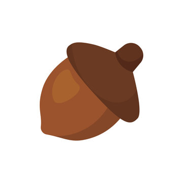 Thanksgiving Vector Illustration - Nut