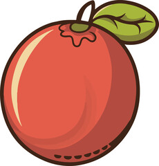 Fruit red grapefruit icon vector on white background, Fruit red grapefruit icon