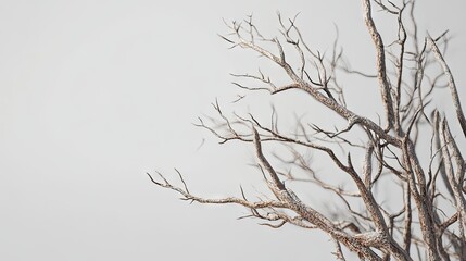Obraz premium A close-up of abstract, intricately detailed bare branches against a soft gray background.