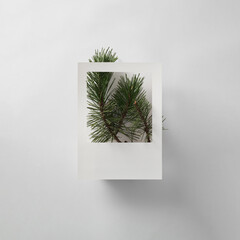 Pine branches are artfully arranged within a square white frame, creating a simple yet elegant...