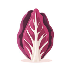 A Simple flat design 2D icon radicchio isolated on a white background, animation design, vector, flat design, animation design, simple flat 2D icon, minimalist icon, illustration