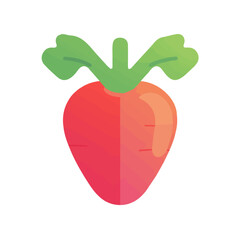 Simple illustration radish motion graphic flat-design vector animation style, isolated in white background, 2D flat icon