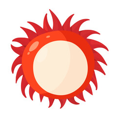 Simple flat illustration rambutan motion graphic flat-design vector animation style, isolated in white background, 2D flat icon, logo