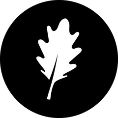 Leaf icon. Set of green leafs icons. Eco, bio, natural, vegan icon. Leaves of trees and plants. Leaves icon Collection. Vector illustration