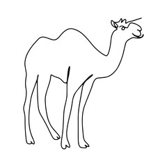 Desert Egypt Graphic Design Decoration Vector Line Art