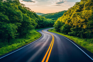 Fototapeta premium Serene Tree-Lined Road Surrounded by Lush Greenery with a Carpet of Fallen Leaves