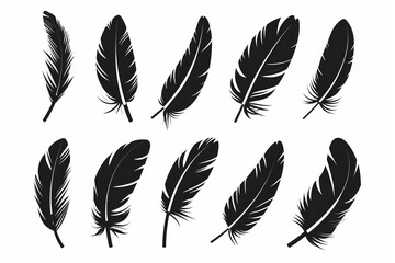 Feather icon, animal feathers isolated, black plume symbol, minimal plume silhouette on white