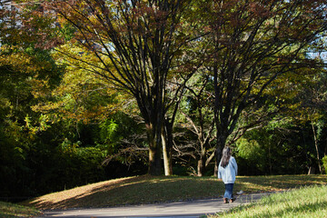 秋の公園で一人で散歩する小学生の女の子の様子