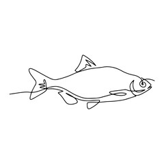 Ocean Fish Graphic Design Decoration Vector Line Art