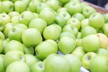 Lots of green green apples on the counter. Fresh Green Apple Background for Healthy Eating and Natural Produce