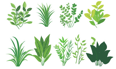 Fototapeta premium Green Foliage Eco Design Vector Set for Living Wall Concepts and Sustainable Projects