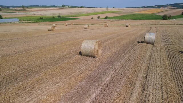 Aerial view of harvested golden field with straw bales, showcasing rural landscape and agricultural patterns