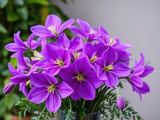 A whimsical arrangement of purple flowers with large petals in a vase surrounded by curved stems and lush greenery, botanical centerpieces, floral vases