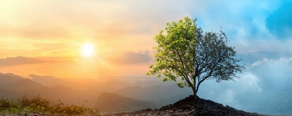 Energy Stock concept. energy stock concept. Trends in wind energy sector, positive growth, energy stock wind trends, green sector development