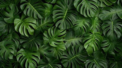 Lush tropical leaves create a serene oasis in a flat lay composition, illuminated by cinematic lighting for a vibrant atmosphere