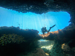 A Scuba diver on a large coral reef cliff in the blue waters of the Caribbean sea in Curacao. This...