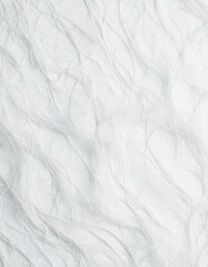 Obraz premium 繊維（白）