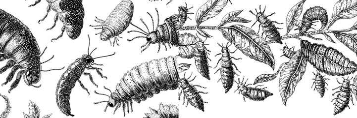 A seamless pattern of caterpillars and butterfly larvae. An endless background, texture design in flat modern style. Repeating print, nature and fauna. Flat illustration for fabric, textile.