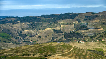 Douro Valley, a famous place and travel destination in Portugal