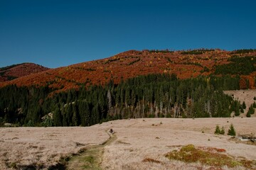 Scenic autumn landscape with vibrant hillside foliage.