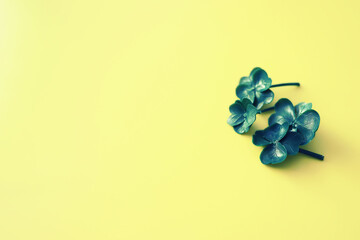 St. patrick's day background. Four-leaf clover symbol of good luck. Religious Christian Irish...
