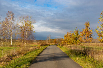 An asphalt road through autumn fields leading towards a forest. Late autumn in the Czech Republic.