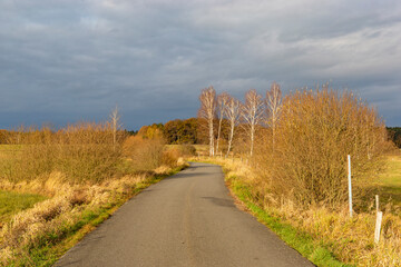 An asphalt road through autumn fields leading towards a forest. Late autumn in the Czech Republic.