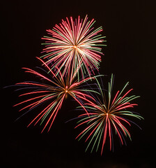 fireworks in the night sky