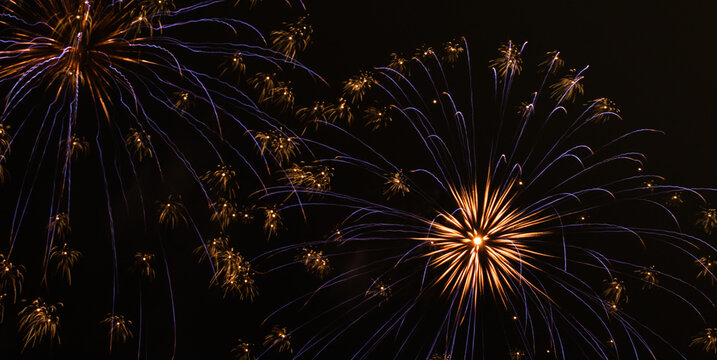 fireworks in the night sky