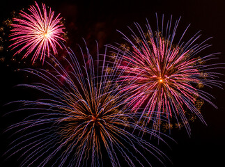 fireworks in the night sky