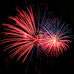 fireworks in the night sky