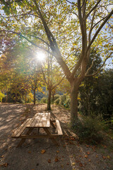 Fototapeta premium Picnic table in fall autumn