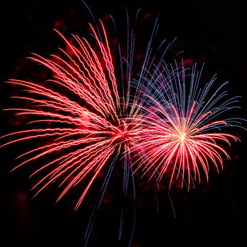 fireworks in the night sky