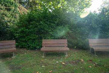 Empty park benches