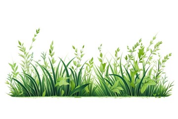 Fototapeta premium Grass plant green outdoors.
