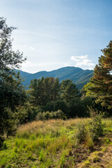 Autumn trees and hills in Fall