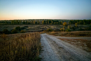 Dirt road through a field in the early morning