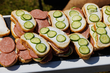 Colorful Open Sandwiches: A Delightful Spread of Crisp Cucumber and Savory Salami, Perfect for Any Gathering.