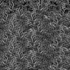 Abstract unusual plant painting. Branches and roots. Witchcraft. Watercolor drawing of a plant on a black background.