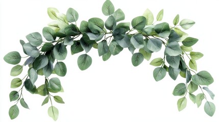 Fototapeta premium Greenery Garland Over White Background