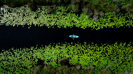tourist kayaking to see nature of lotus swamp at Rayong botanic garden, aerial view from drone.